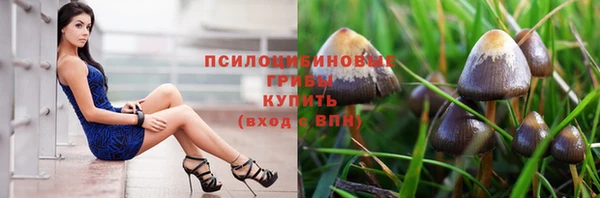 соль курить ск Новозыбков