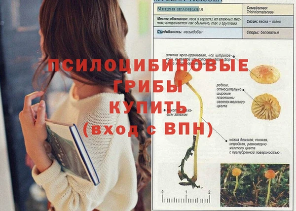 дживик Абдулино